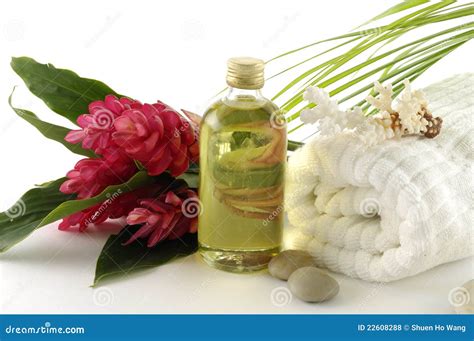 Spa Still Life Stock Photo Image Of Perfection Clean