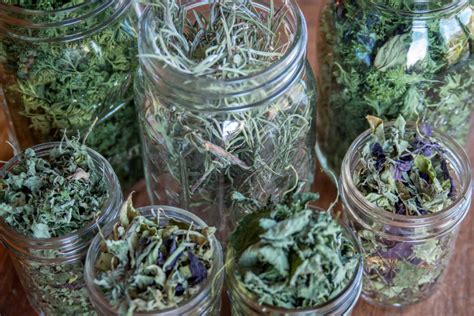 Advice vegetable gardening how to freeze or dry herbs. Drying Herbs Fresh From The Garden - Four Kids and a Chicken