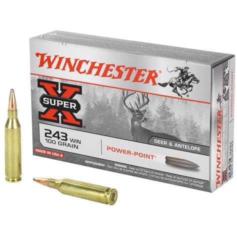Buy Winchester Super X Brass 243 Win 100 Grain 20 Rounds Pp Online For