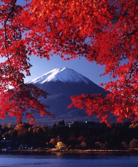 Fall In The Mountains Mount Fuji Japan Mount Fuji Wonders Of The World