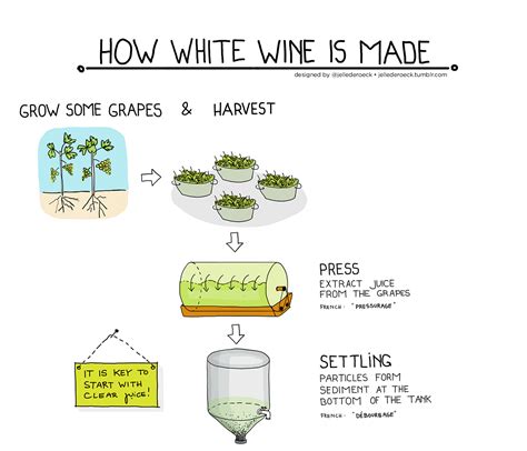 How Is White Wine Made