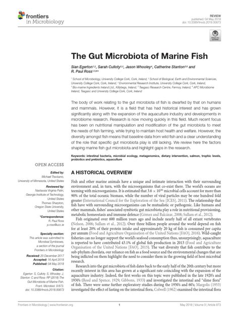 The Gut Microbiota Of Marine Fish A Historical Overview Pdf