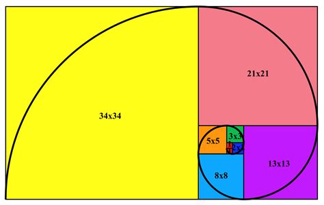 Fibonacci Spiral 34 Math Science History