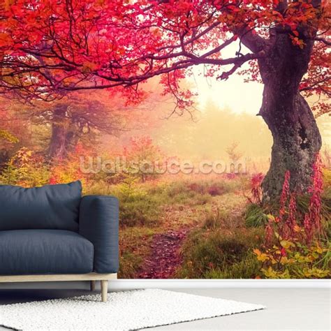 Autumn Forest Meadow Wallpaper Mural Wallsauce Uk
