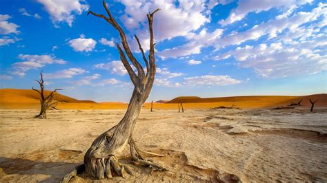 Wood Landscape Sand Namibia Desert Africa Dead Trees Clouds Hd