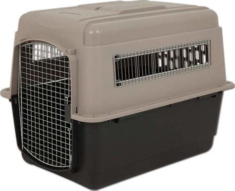 Best Plastic Dog Crate Large Extra Large Dog Crates Ipetcompanion