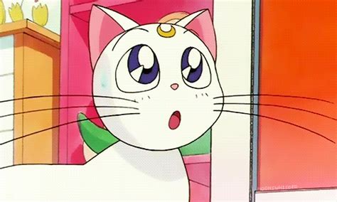 Sailor Moon Via Tumblr Animated  2510764 By