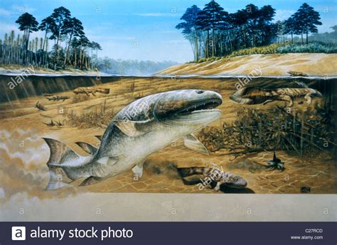 Painting Of A Devonian Period Fish Hyneria Stock Photo Royalty Free