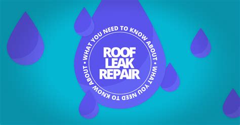 What You Need To Know About Roof Leak Repair