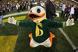 University Of Oregon Donald Duck Photos