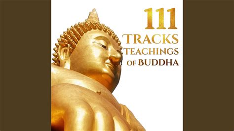 Effective Buddhist Training Youtube