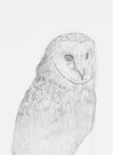 Owl Drawings Free Art Lesson