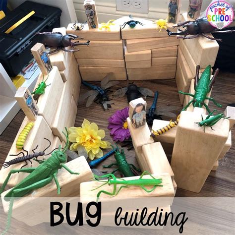 Bug Centers And Activities Pocket Of Preschool Preschool Insects