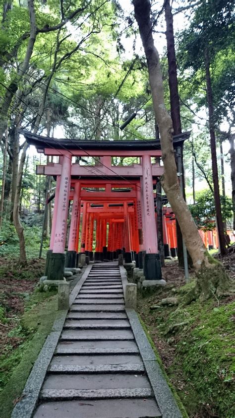 Hiking Up The Toriis Of Fushimi Inari Temple Kyoto