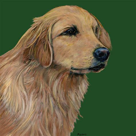 Golden Retriever Painting By Dale Moses Fine Art America
