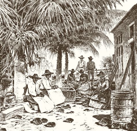 Bahamas History The First Settlements And The Age Of Piracy