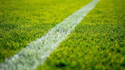 Terrain en herbe stade de football 2020 haute qualité bureau Aperçu