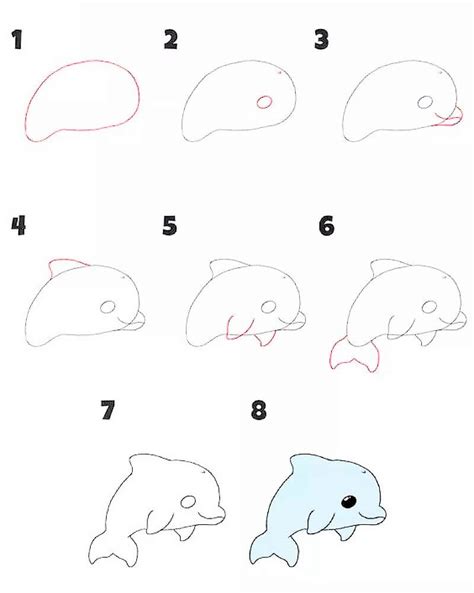 How To Draw A Simple Dolphin Step By Step Drawing Photos