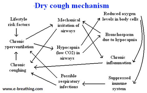 Causes Of Dry Cough And Simple Home Remedies To Cure It