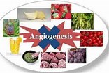 Image result for angiogenic foods
