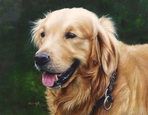 Golden Retriever Painting At Explore Collection Of