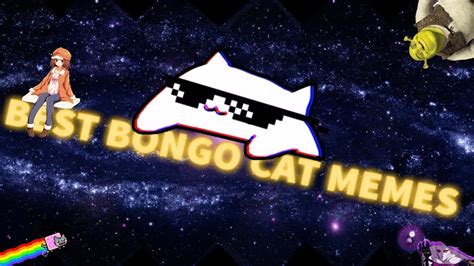 Best Bongo Cat Memes Compilation Bongocat Youtube Otosection