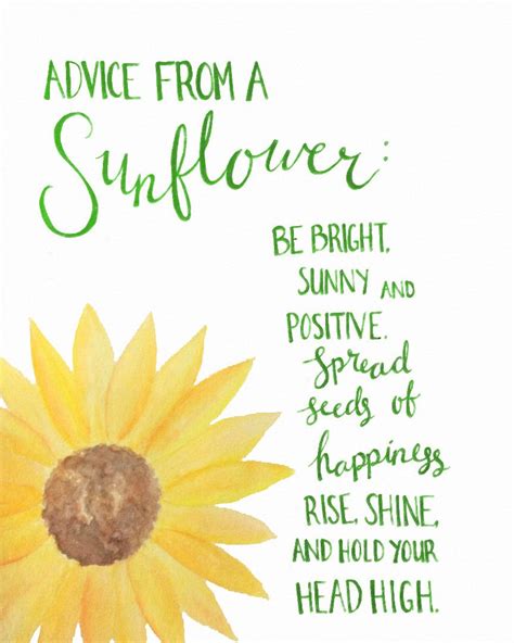 Happiness Is Harmony Sunflower Quotes Flower Quotes Sunshine Quotes