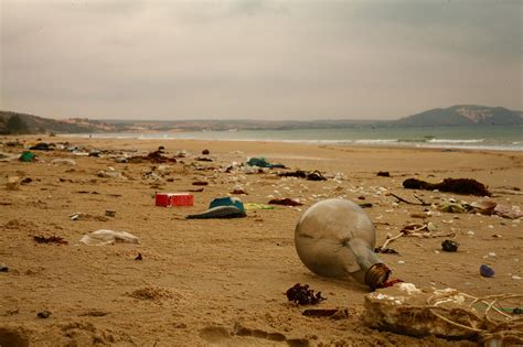 Playas Contaminadas Mucho Más Que Plataformas Petroleras Ospat