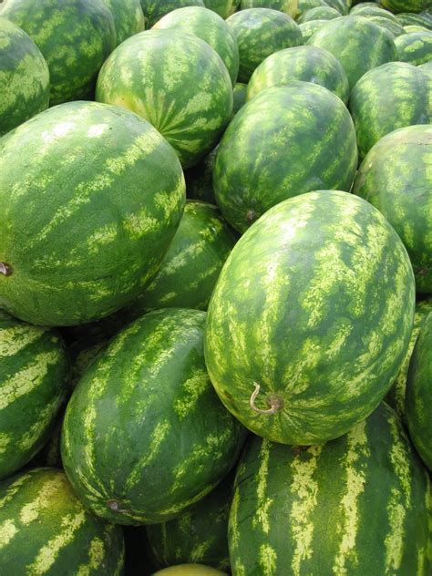 Watermelons Free Photo Download Freeimages