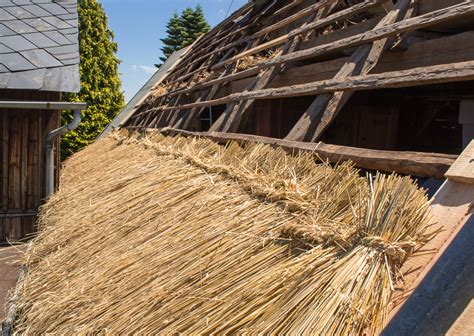 Das dach selber decken durch eigenleistung beim dach decken können geübte schwindelfreie heimwerker bei einer dachfläche von 120 qm bis zu 3500 euro kosten einsparen. strohdach decken, offener dachstuhl, erste reihe