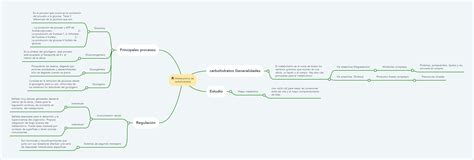 Metabolismo De Carbohidratos Mindmeister Mapa Mental