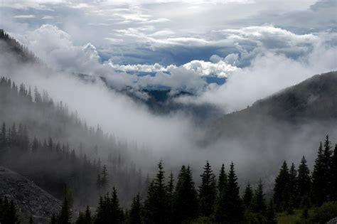 Clouds Fog Landscapes Mountains Pines Trees Hd Wallpaper