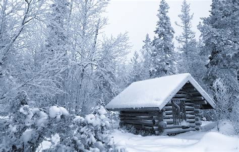 Wallpaper Winter Forest Snow Trees River Hut Hut Finland