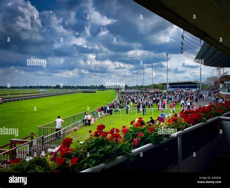 Kempton Park Racecourse Hi Res Stock Photography And Images Alamy