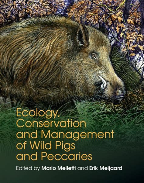 Ecology Conservation And Management Of Wild Pigs And Peccaries Nhbs