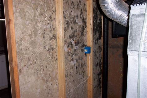 Mold making and casting calculators ›. How to Detect Household Mould