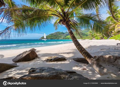 Paradise Beach Tropical Island / beach, Shrubs, Palm, Trees, Island, Paradise, Clouds ... : Open ...