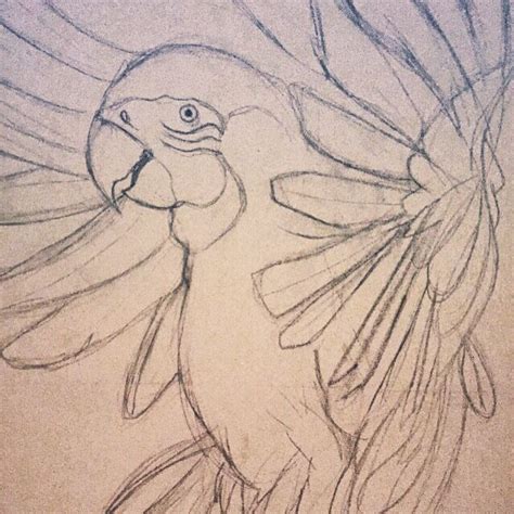 Painting Of A Parrot Sketch Is Done Canvas 80 X 60 Parrot