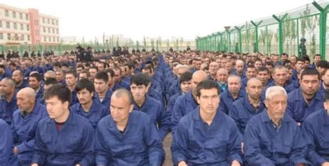More Than 3 Million Uyghurs Detained In Forced Labor Camps In China