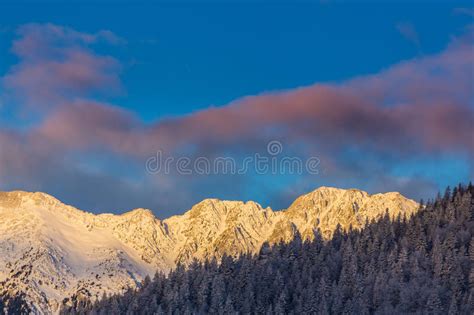 Sunrise In The Mountains With Snow Covered Peaks And Frost Covered Fir