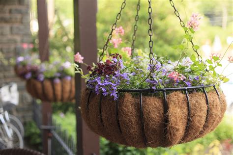 Plant A Flowering Hanging Basket Like A Professional Does For A