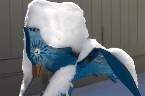 Free Images Snow Winter Wing White Flower Ice Blue Sculpture