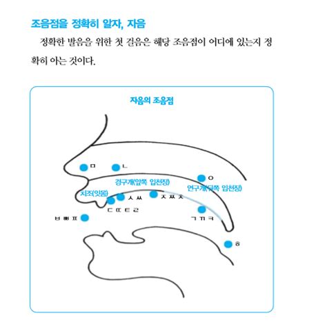 ㄹ발음교정법 ㄹ발음이 둔탁하게 ㄴ발음처럼 된다면 네이버 블로그