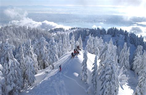 No 9 Snowshoe Friendly Ski Resort Grouse Mountain British Columbia