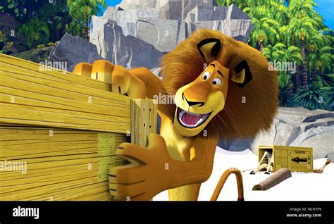 Madagascar Alex The Lion Voiced By Ben Stiller 2005 C