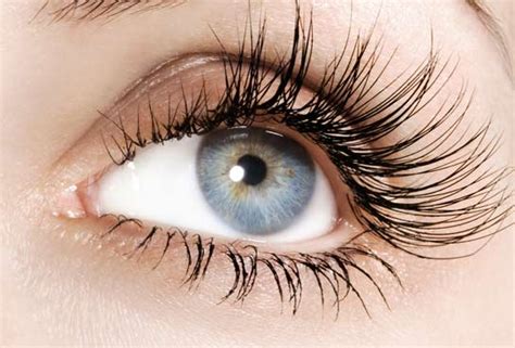 I also have installed ad block plus, which lets me watch videos without advertisements, which i strongly recommend. How to grow eyelashes quickly: all do-it-yourself natural remedies