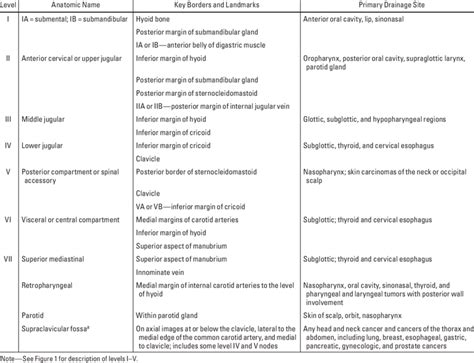 Site Classification For Lymph Nodes From American Head And Neck Society