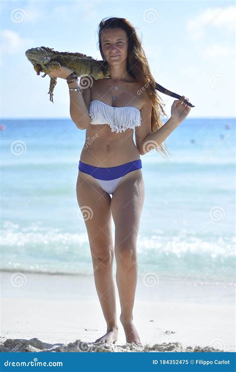 Girl On The Caribbean Beach With Iguana Stock Image Image Of People