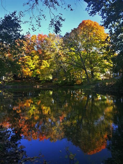 Autumn Reflections Tquist24 Flickr