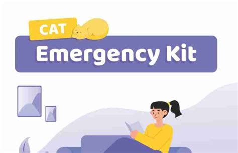 Cat Emergency Kit How To Make A Cat First Aid Kit Infographics Archive